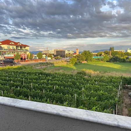 Vandrerhjem Internacional *