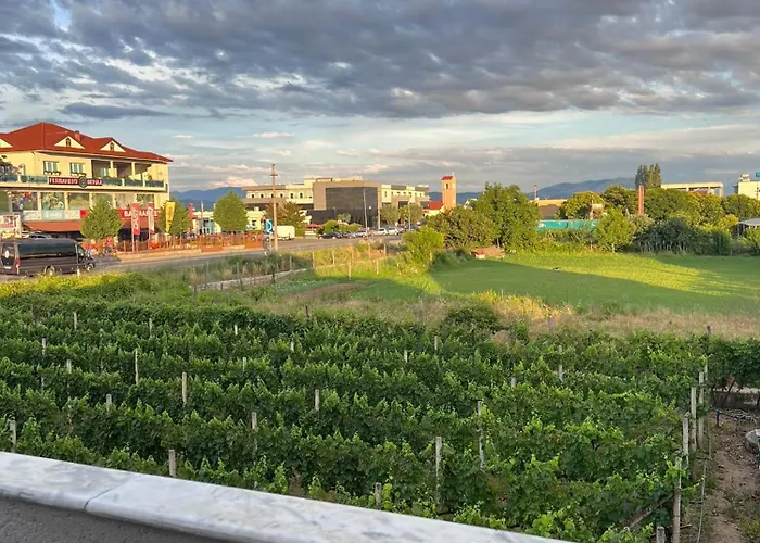 Albergue Internacional *