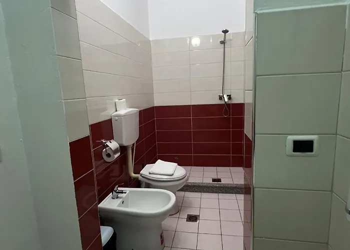 Internacional Albergue *